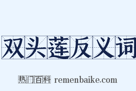 双头莲反义词是什么意思的图片